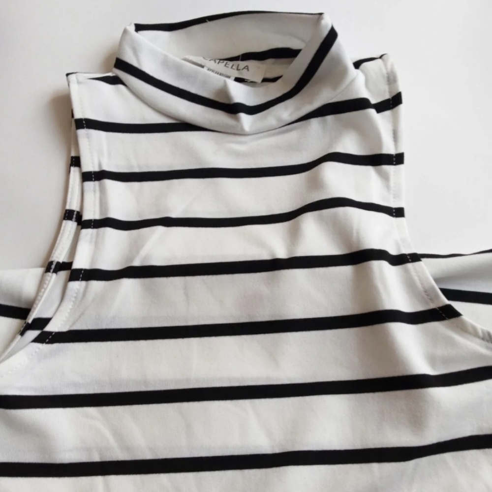 Bodycon mock neck striped dress.